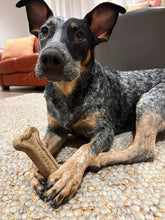 Load image into Gallery viewer, Kelpy Bone
