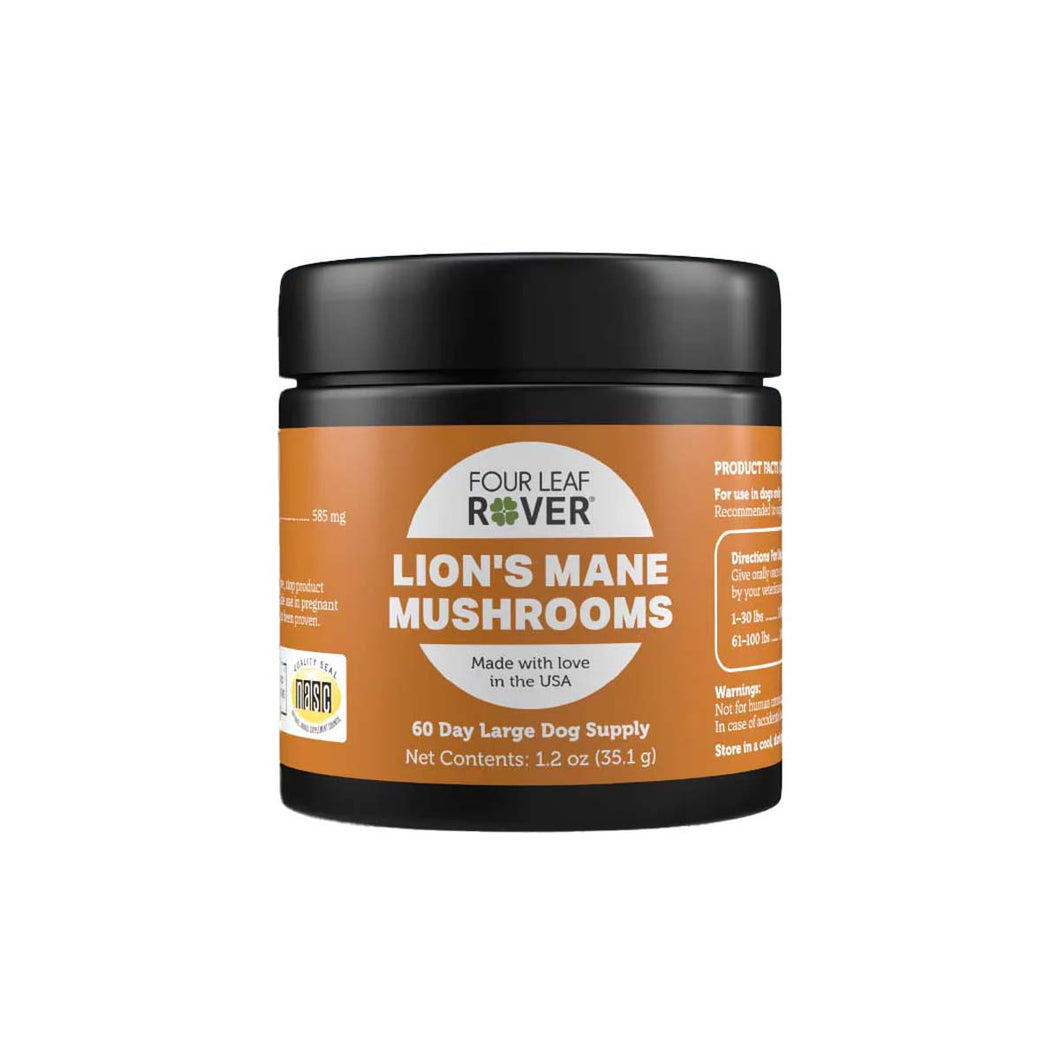 Lion's Mane - Organic Mushroom Extract