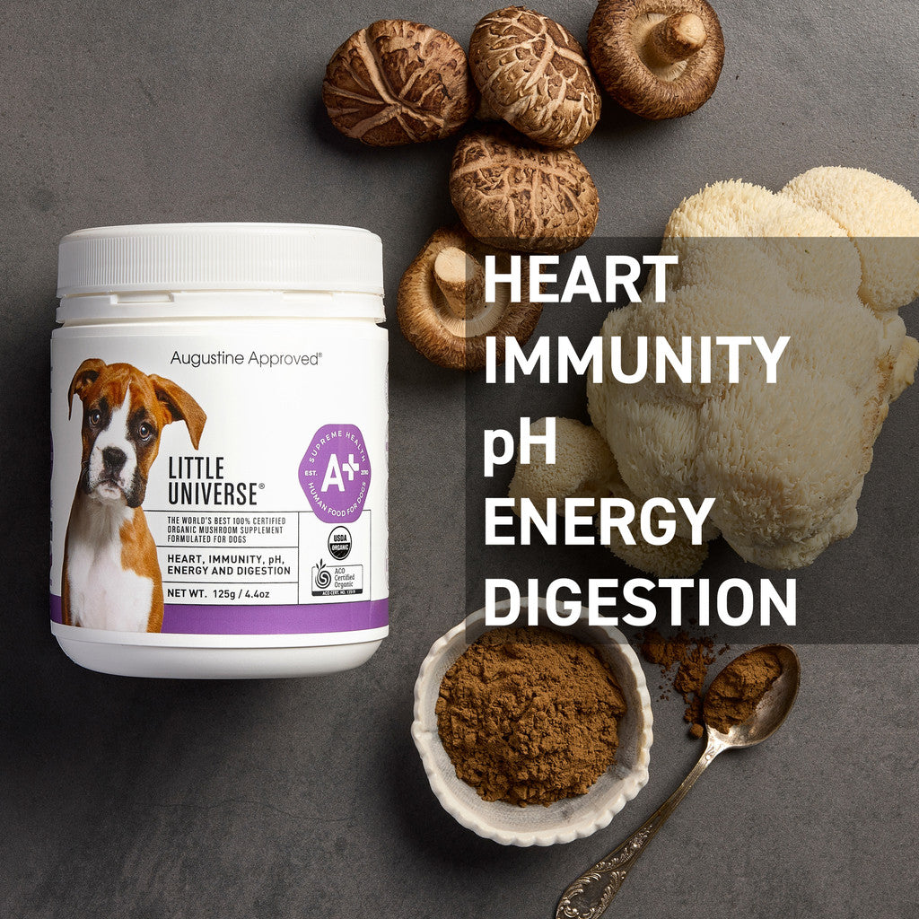 A+ Little Universe - Organic Mushroom Supplement – KIN DOG GOODS