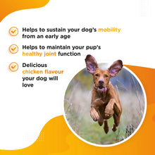 Load image into Gallery viewer, Hip and Joint Mobility Supplement for Dogs
