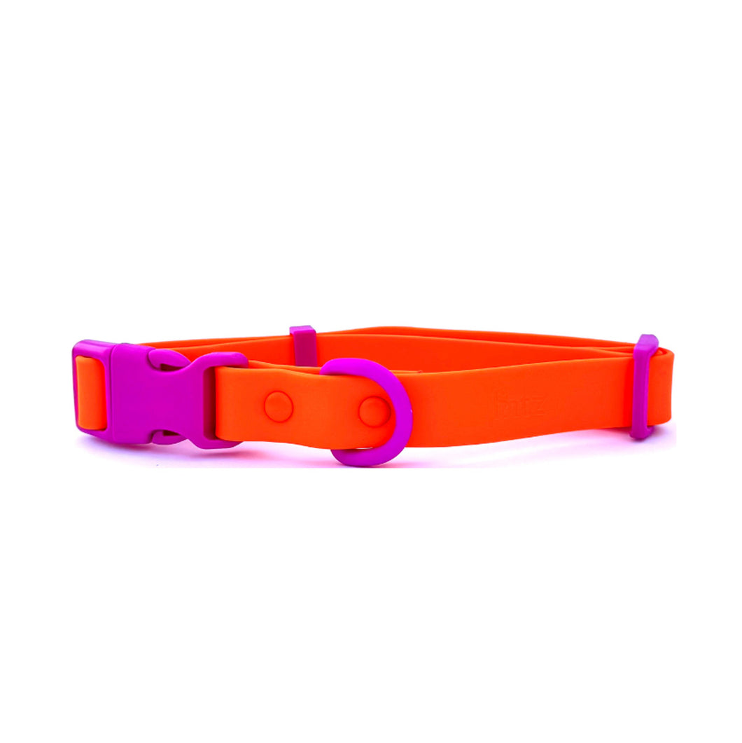 The Fritz Collar - Orange Purple