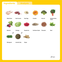 Load image into Gallery viewer, Quail Pumpkin &amp; Egg 500g
