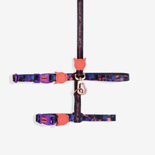 Load image into Gallery viewer, Zee Dog Cat Harness + Leash Set - Reebok Court
