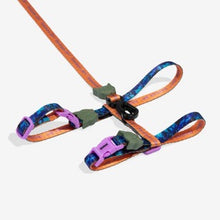 Load image into Gallery viewer, Zee Dog Cat Harness + Leash Set - Reebok Trekk
