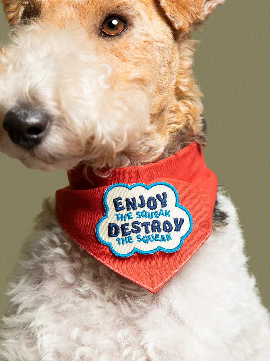Enjoy the Squeak Badge
