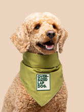 Load image into Gallery viewer, Over-sized lap dog Badge
