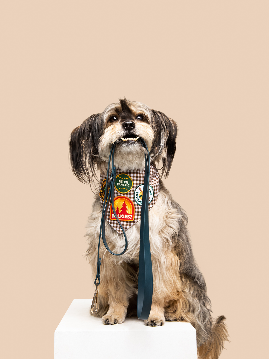 Walkies Badge – KIN DOG GOODS