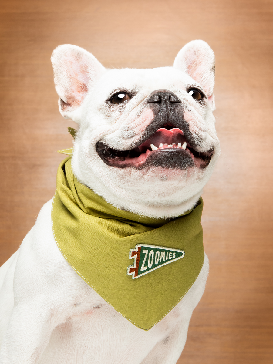 Zoomies Badge – KIN DOG GOODS