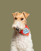 Load image into Gallery viewer, Enjoy the Squeak Badge
