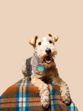 Load image into Gallery viewer, Puppy School Grad Badge
