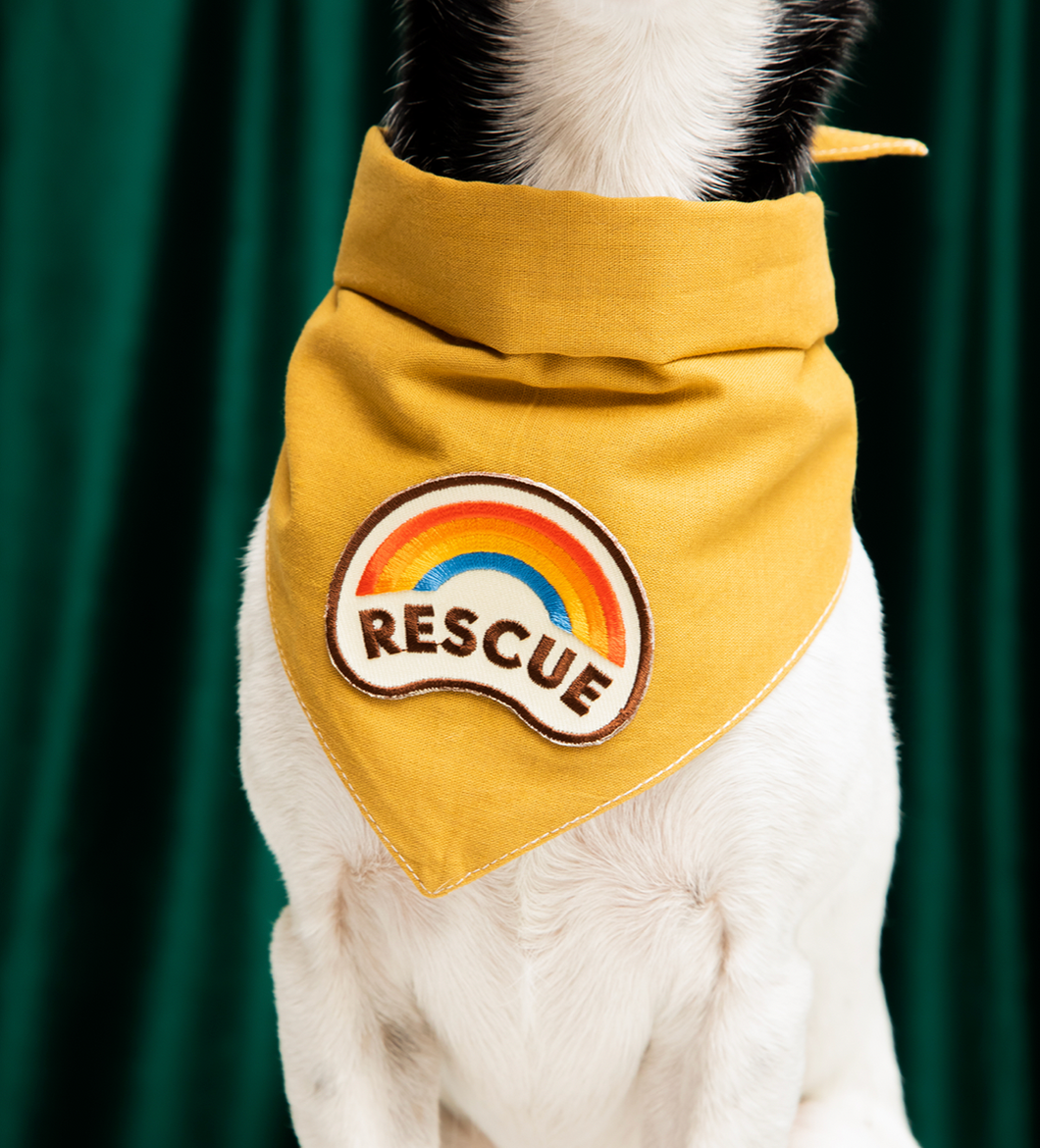 Rescue Badge