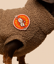 Load image into Gallery viewer, Postman Patrol Badge
