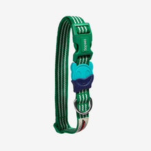 Load image into Gallery viewer, Zee Dog Collar - Vert
