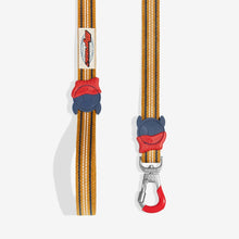 Load image into Gallery viewer, Zee Dog Leash - Misfit
