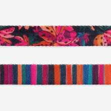 Load image into Gallery viewer, Zee Dog Cat Collar - Selva
