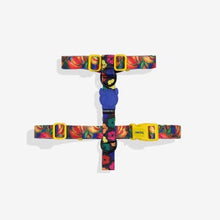 Load image into Gallery viewer, Zee Dog H Harness - Samba
