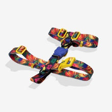 Load image into Gallery viewer, Zee Dog H Harness - Samba
