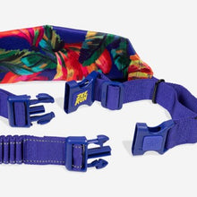 Load image into Gallery viewer, Zee Dog Running Belt - Samba
