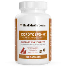 Load image into Gallery viewer, Organic Cordyceps Extract Capsules
