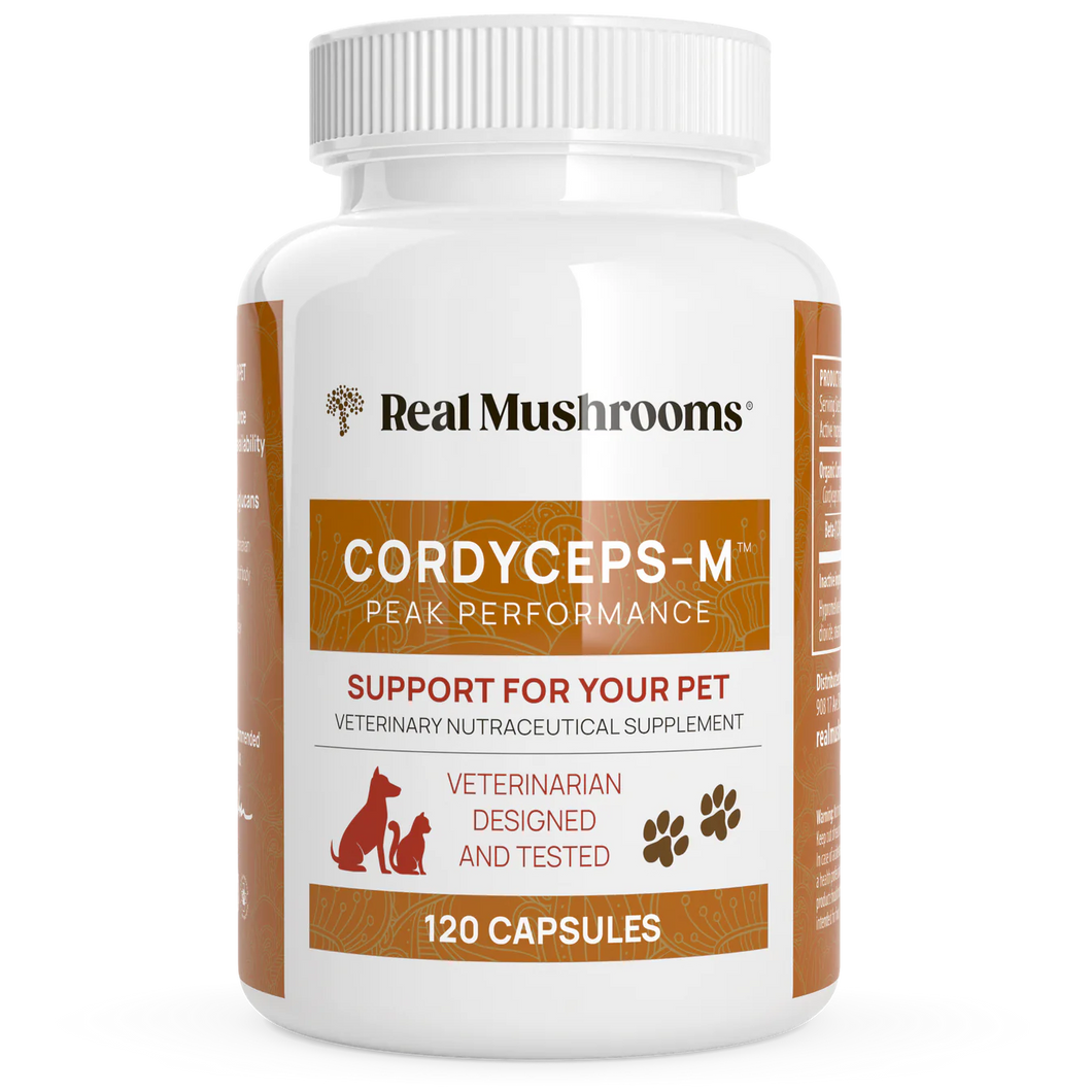 Organic Cordyceps Extract Capsules