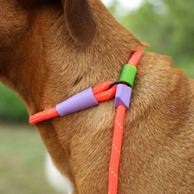 Load image into Gallery viewer, Zee Dog Slip-N-Lock Leash - Everest
