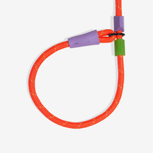Load image into Gallery viewer, Zee Dog Slip-N-Lock Leash - Everest
