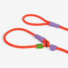 Load image into Gallery viewer, Zee Dog Slip-N-Lock Leash - Everest
