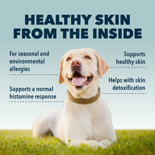 Load image into Gallery viewer, Harmony - Natural Skin Care For Dogs
