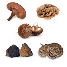 Load image into Gallery viewer, 5 Defenders Organic Mushroom Blend Capsules
