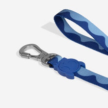 Load image into Gallery viewer, Zee Dog Leash - Swell
