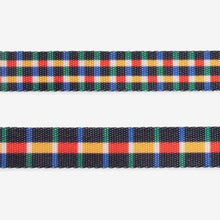 Load image into Gallery viewer, Zee Dog Leash - Travis
