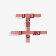 Load image into Gallery viewer, Zee Dog H Harness - Naturals
