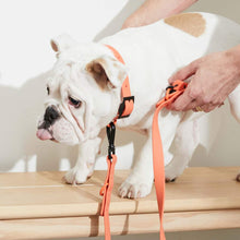 Load image into Gallery viewer, Yonder Collar - Peach
