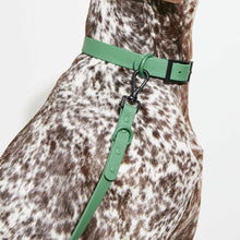 Load image into Gallery viewer, Yonder Collar - Green
