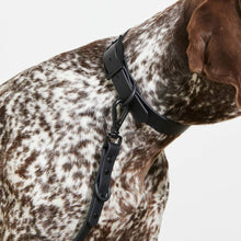 Load image into Gallery viewer, Yonder Collar - Black
