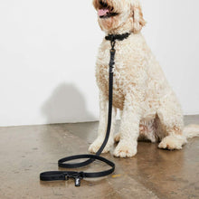 Load image into Gallery viewer, Yonder Collar - Black
