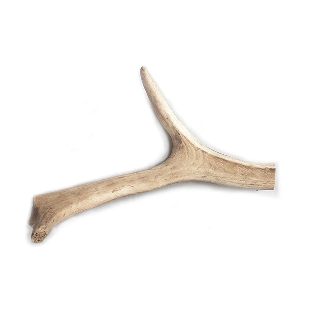 Whole Deer Antler