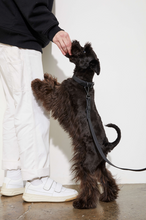 Load image into Gallery viewer, Yonder Collar - Black
