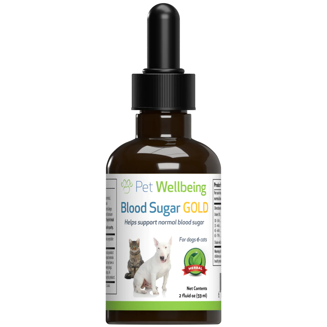 Blood Sugar Gold for Dog Cat Blood Sugar Support – KIN DOG GOODS
