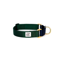 Load image into Gallery viewer, Martingale Collar - Forest &amp; Navy
