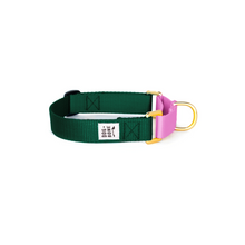 Load image into Gallery viewer, Martingale Collar - Forest &amp; Orchid
