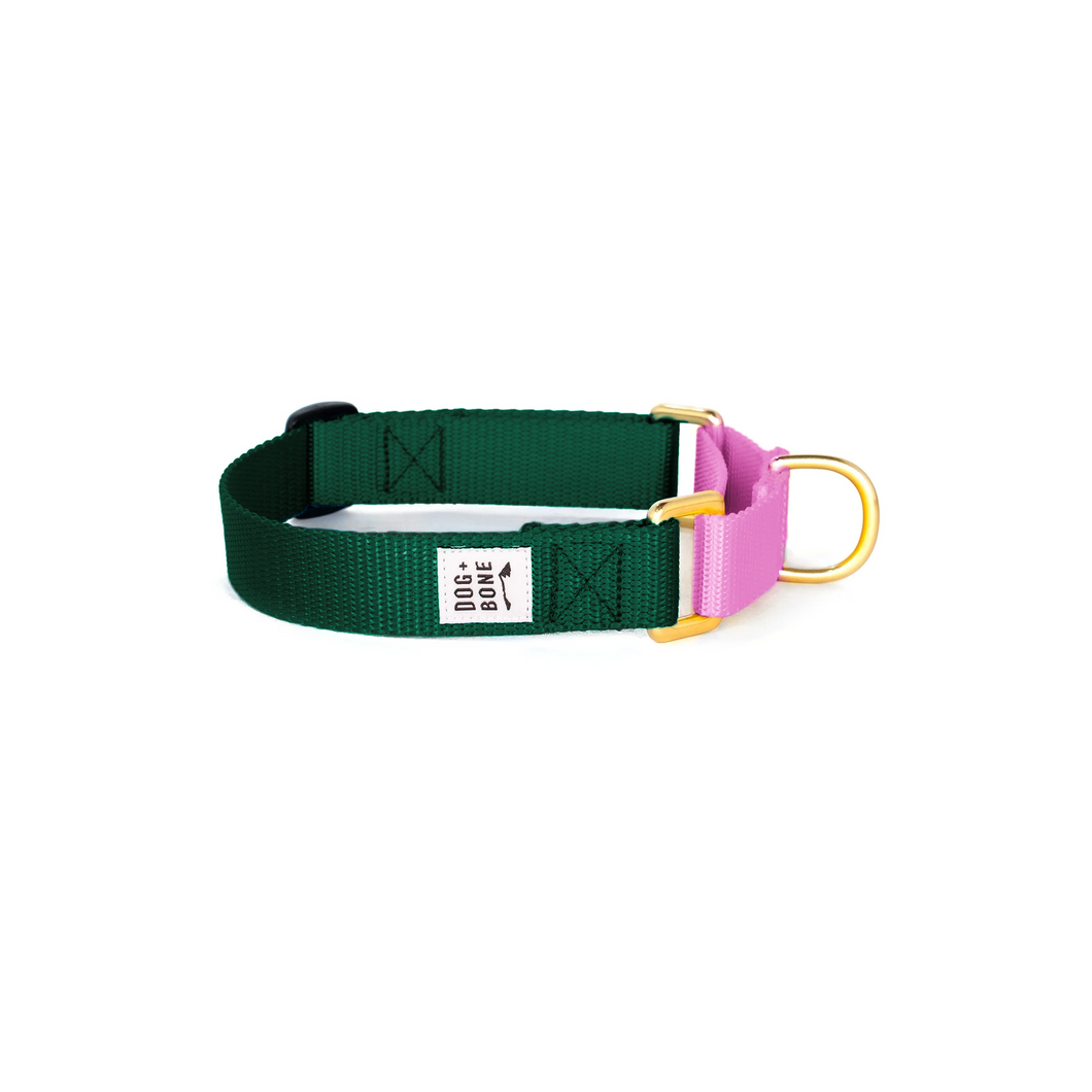 Martingale Collar - Forest & Orchid