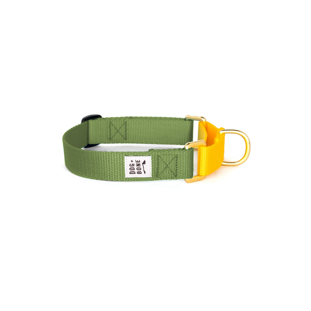 Martingale Collar - Military Green & Yellow