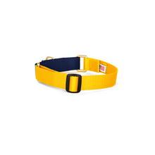 Load image into Gallery viewer, Martingale Collar - Yellow &amp; Navy
