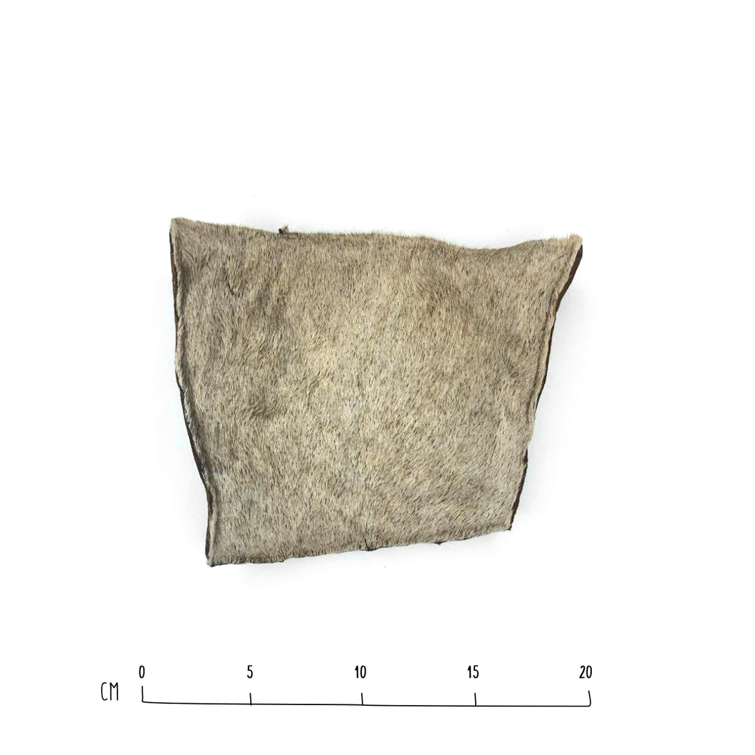 Air-Dried Cow Skin