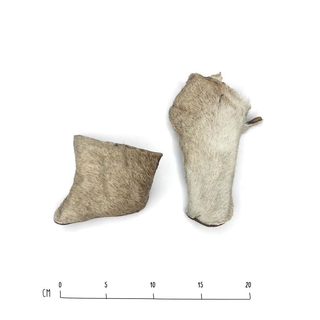 Air-Dried Cow Skin