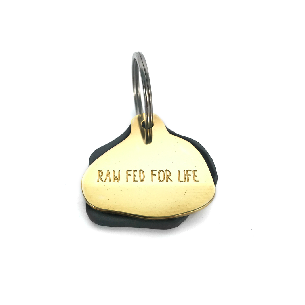 KIN Dog Tag