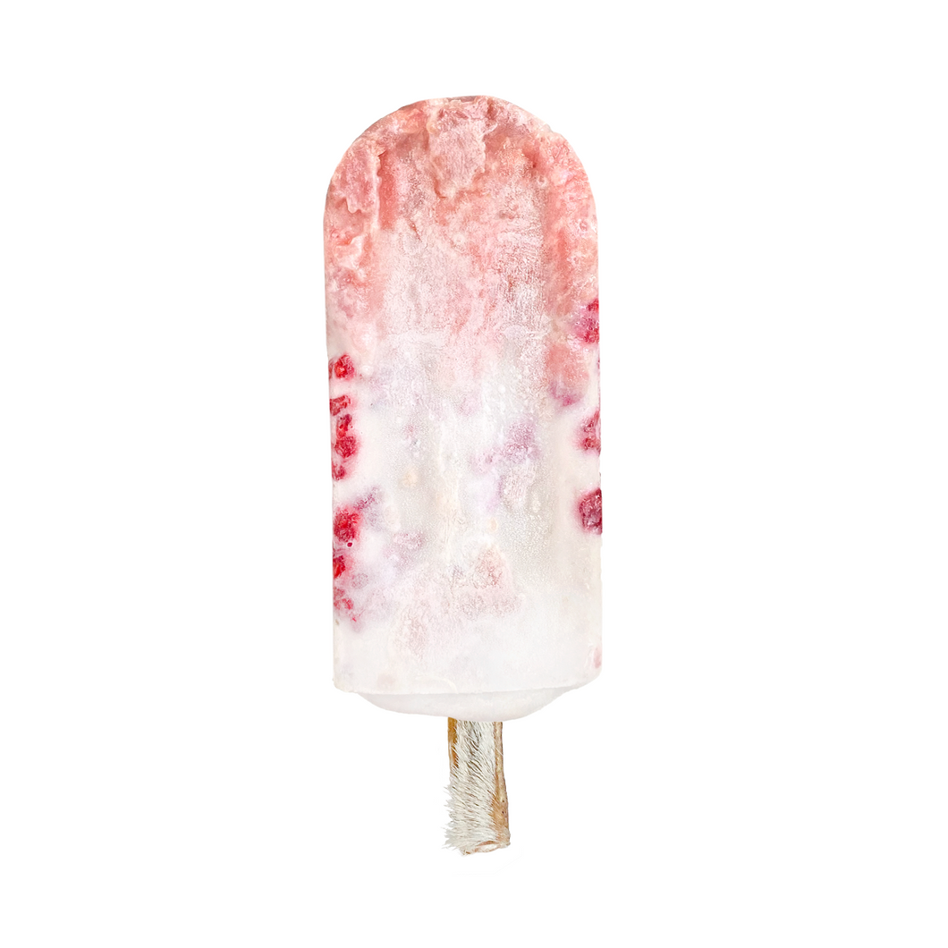 Duck & Berry Delight Dog Pop