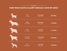 Load image into Gallery viewer, Guts &amp; Glory - Grass-Fed Organs for Dogs
