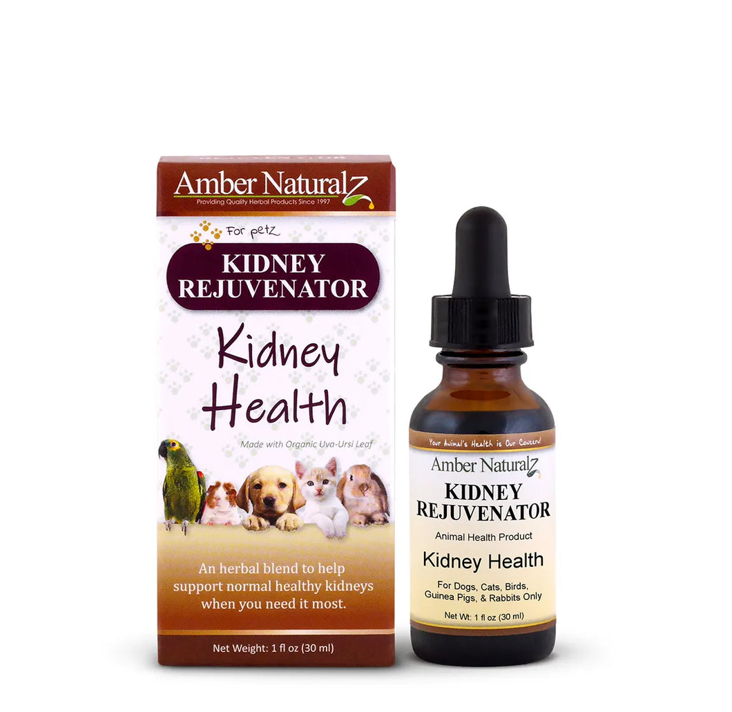 Kidney Rejuvenator - Kidney Health